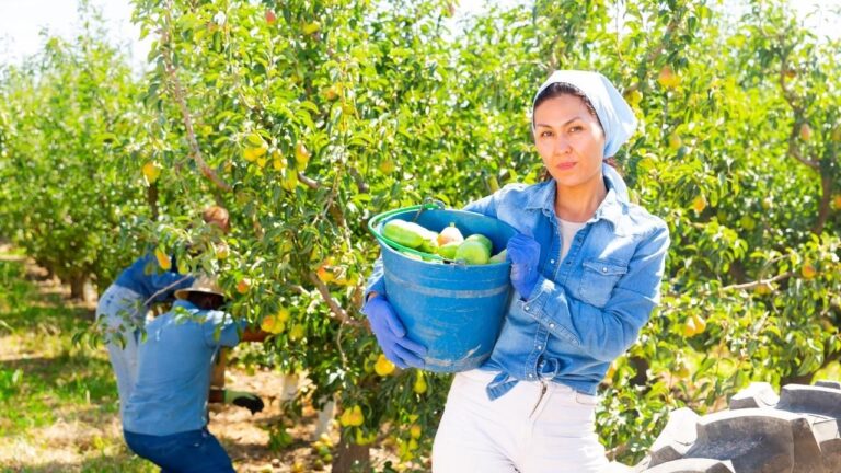 Foto de personas trabajando en el campo.