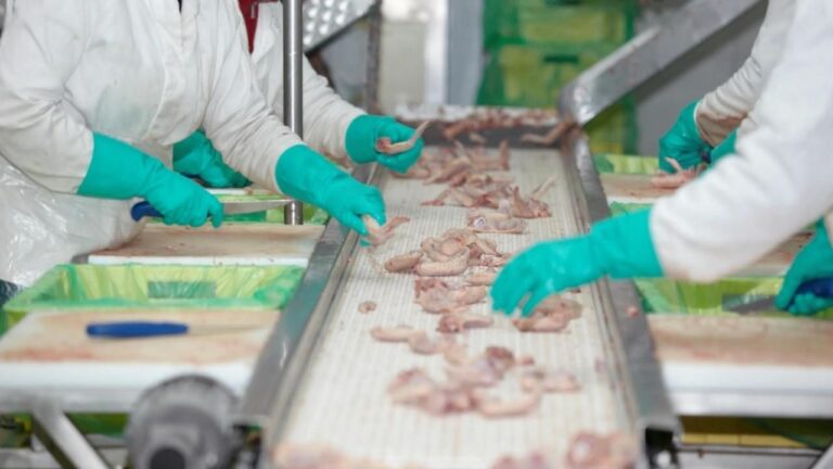 Foto de una industria donde se están manipulando alimentos.