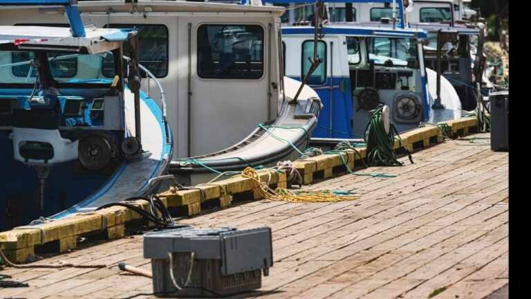 Foto de unos barcos pesqueros en puerto.