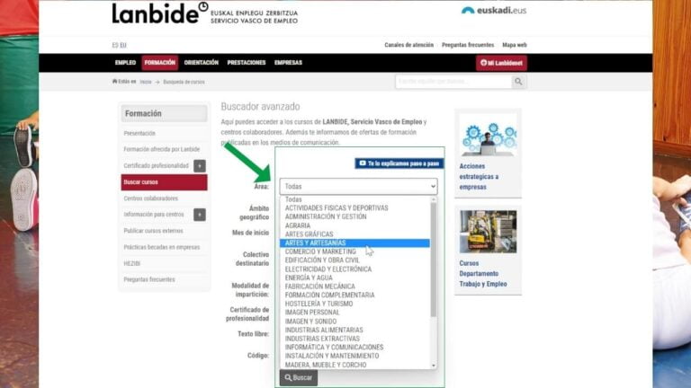 Imagen web de Lanbide con el listado de áreas formativas que puedes seleccionar en Lanbide.