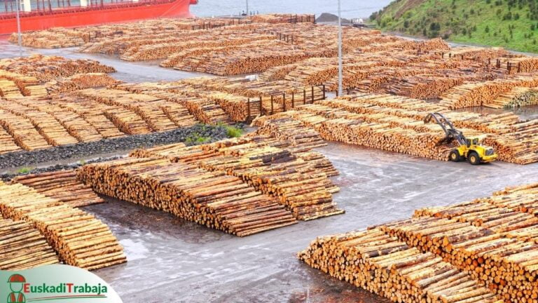 Foto de montones de madera y corcho almacenados listos para su distribución en referencia a las ofertas y oportunidades de empleo en el sector de la madera y corcho en Euskadi.